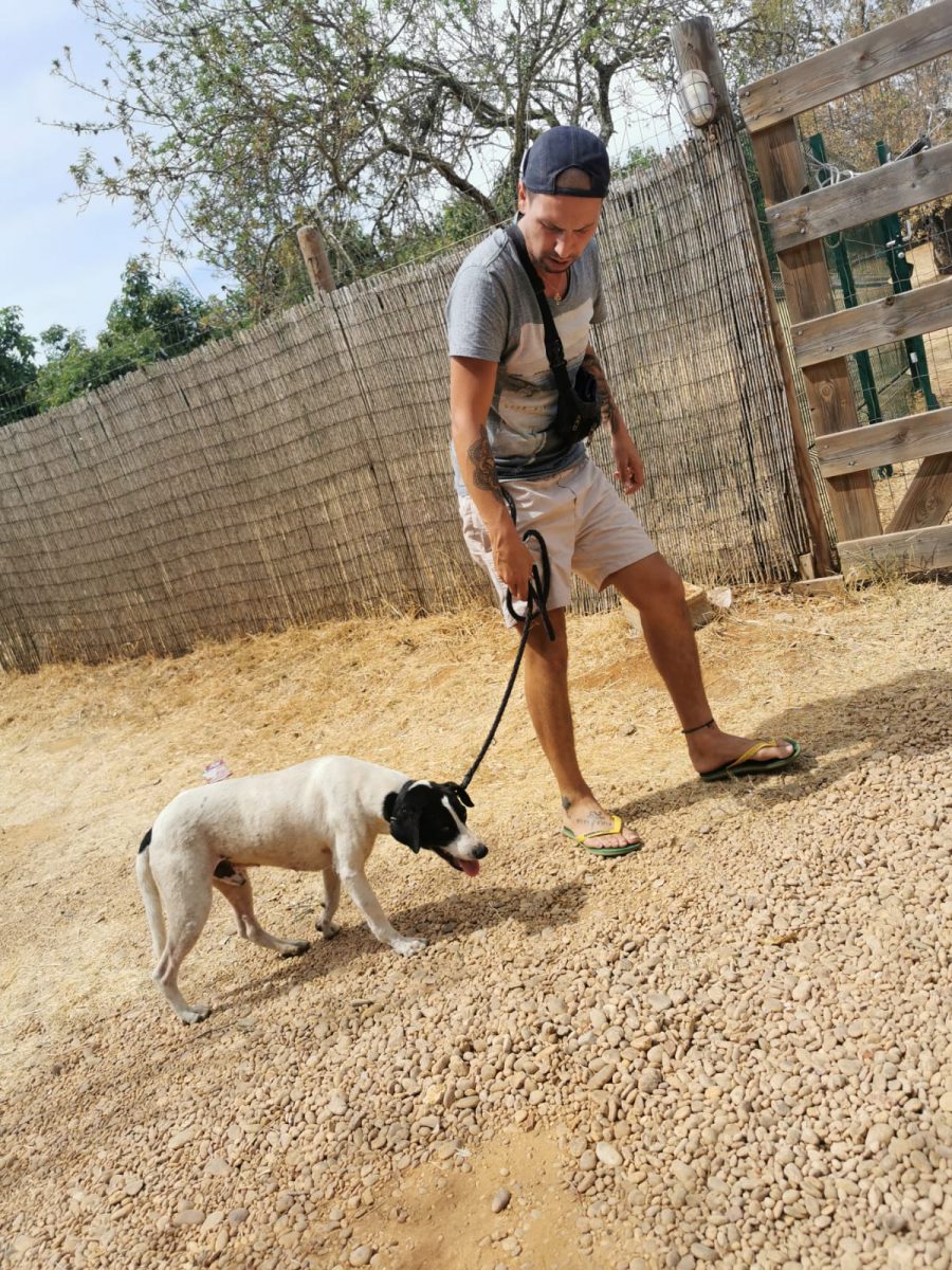 Lucky Nick Lucky Nick