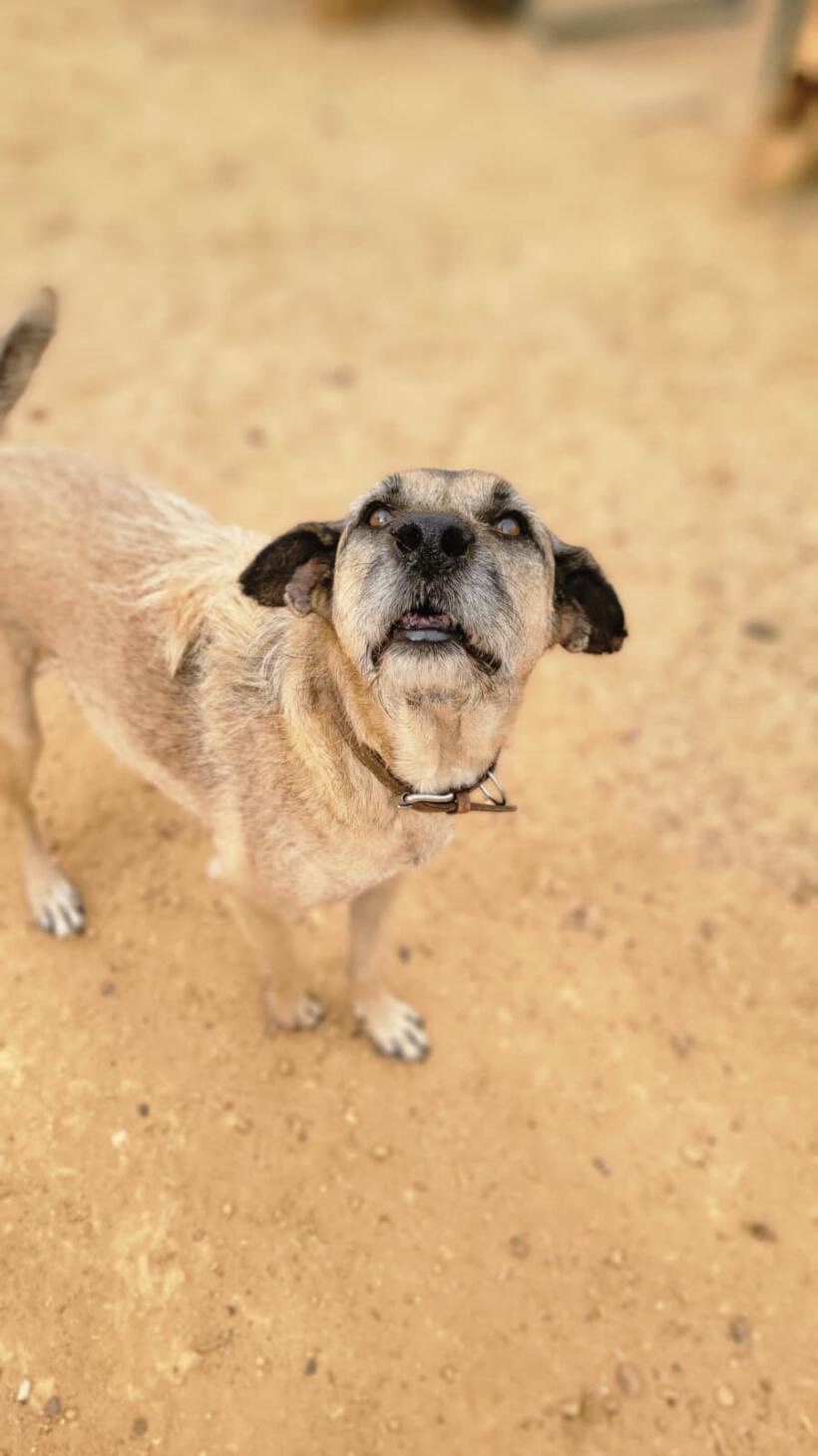 Milo