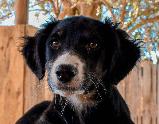 Oakley Oakley